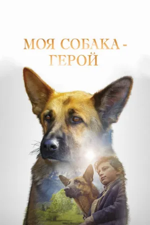 Моя собака — герой (фильм, 2019)