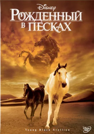 Рожденный в песках (фильм, 2003) Рожденный в песках (фильм, 2003)