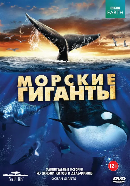 BBC: Морские гиганты (сериал, 2011) BBC: Морские гиганты (сериал, 2011)