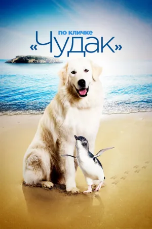 По кличке «Чудак» (фильм, 2015)