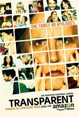 Очевидное (сериал, 2014)