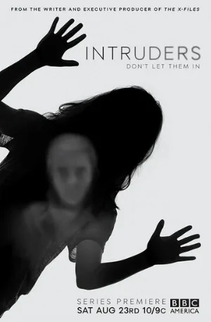 Злоумышленники (сериал, 2014)