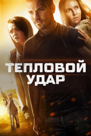 Тепловой удар (фильм, 2013)
