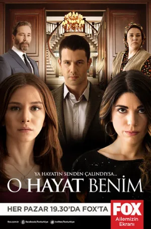 Это моя жизнь (сериал, 2014)