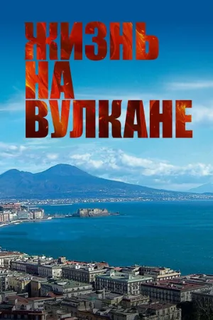 Жизнь на вулкане (фильм, 2014)