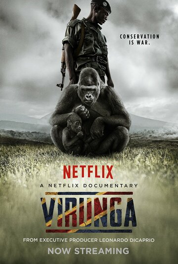 Вирунга (фильм, 2014) Вирунга (фильм, 2014)