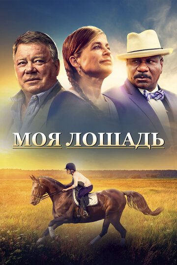 Моя лошадь (фильм, 2016)