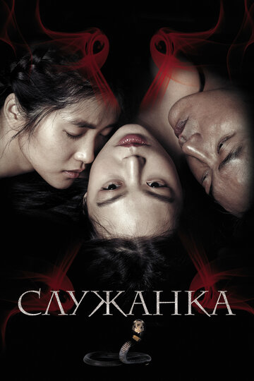 Фильм Служанка (2016) смотреть онлайн