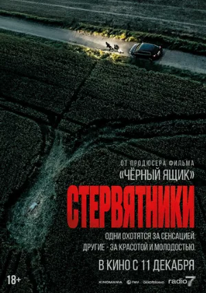 Стервятники (фильм, 2025)