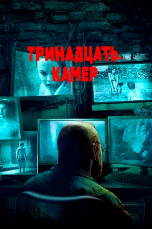 Тринадцать камер (фильм, 2015)