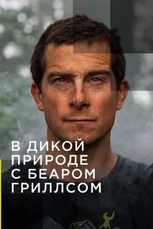 В дикой природе с Беаром Гриллсом (тв-шоу, 2014)