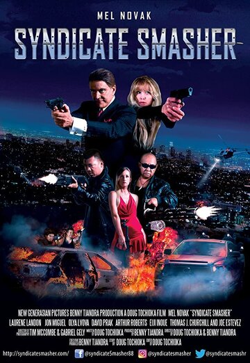 Гроза синдикатов (фильм, 2017)