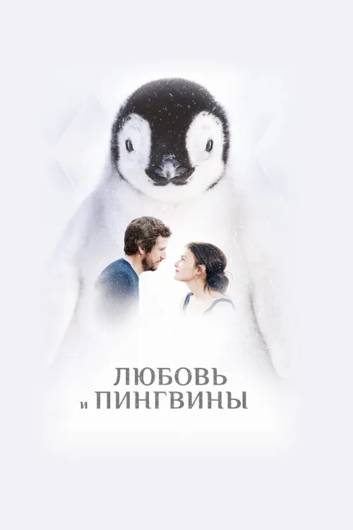 Любовь и пингвины (фильм, 2016) Любовь и пингвины (фильм, 2016)
