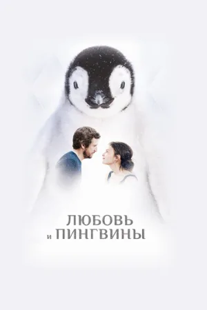 Любовь и пингвины (фильм, 2016)