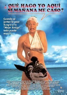 Особенности холостяцкой вечеринки (фильм, 1994)