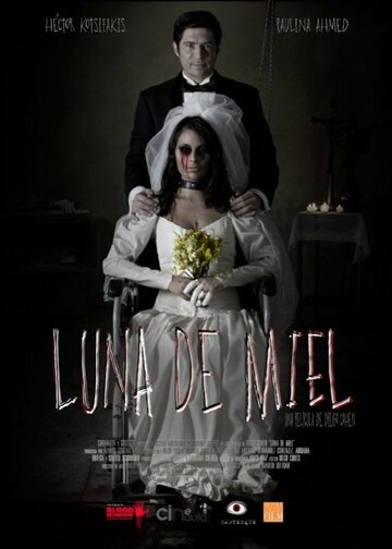 Медовый месяц (фильм, 2015) Медовый месяц (фильм, 2015)