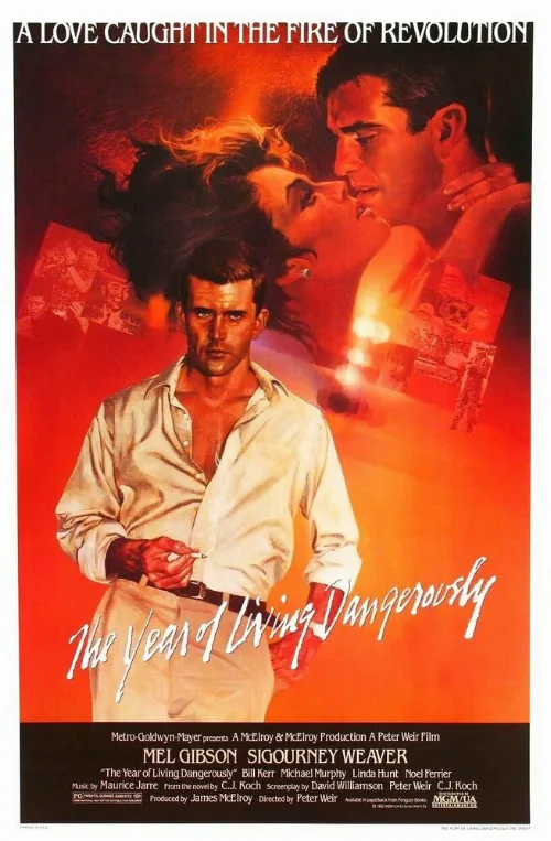 Год, опасный для жизни (фильм, 1982)