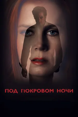 Под покровом ночи (фильм, 2016)