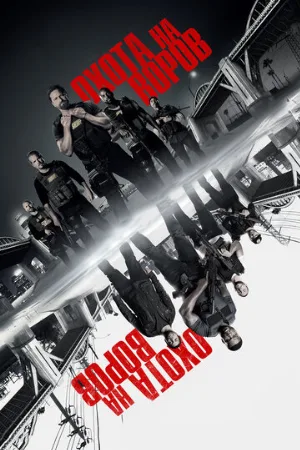 Охота на воров (фильм, 2018)