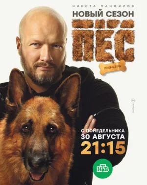 Пёс (сериал, 2015)