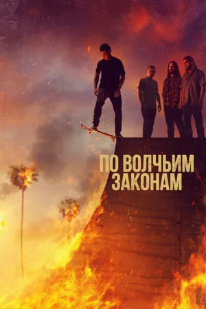 По волчьим законам (сериал, 2016)