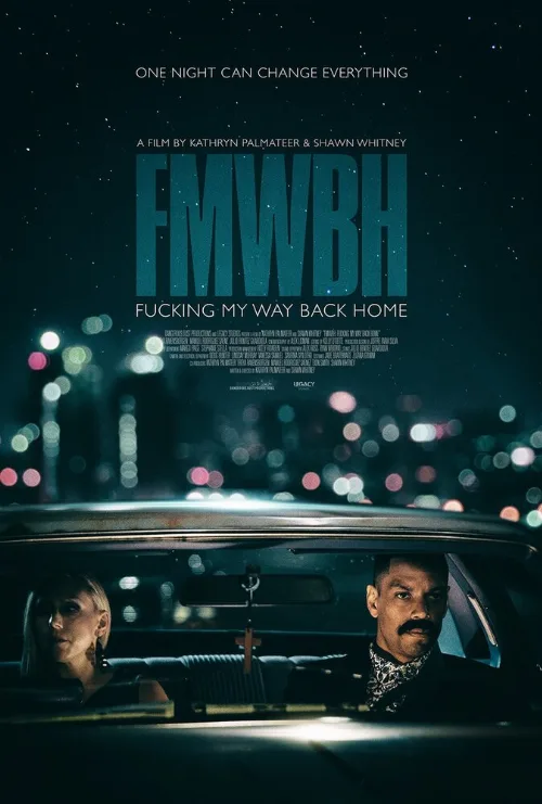 Трудный путь домой (фильм, 2018)