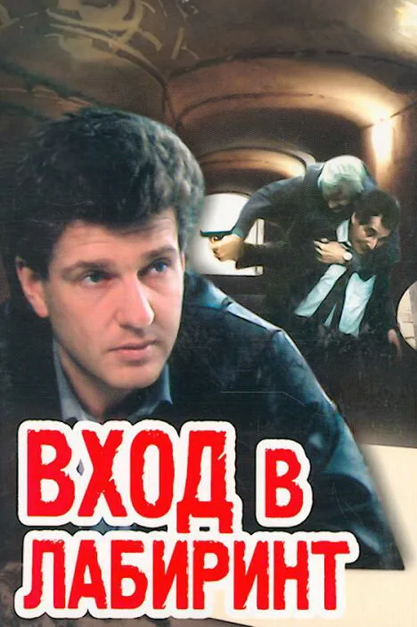 Вход в лабиринт (сериал, 1989)