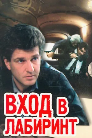 Вход в лабиринт (сериал, 1989)
