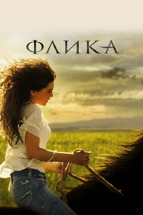 Флика (фильм, 2006)