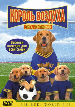 Король воздуха: Лига чемпионов (фильм, 2000)