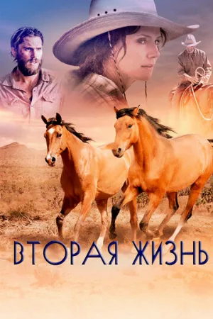 Вторая жизнь (фильм, 2017)