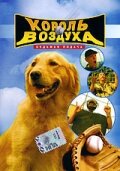 Фильм Король воздуха: Седьмая подача (2002) смотреть онлайн