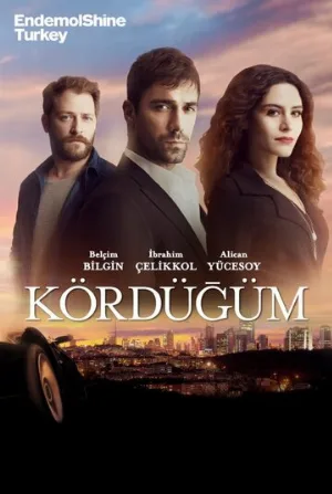 Узел (сериал, 2016)