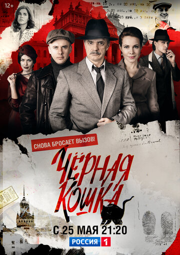 Сериал Черная кошка (2016) смотреть онлайн