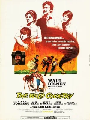 Повеса за городом (фильм, 1970)