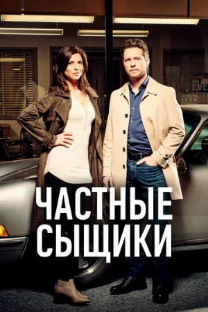 Частные сыщики (сериал, 2016)
