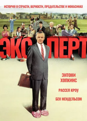 Эксперт (фильм, 1991)