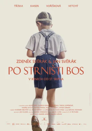 Босиком по стерне (фильм, 2017)