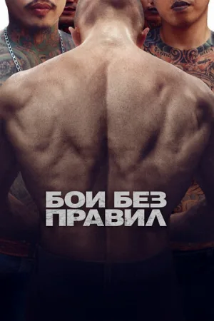 Бои без правил (фильм, 2017) Бои без правил (фильм, 2017)