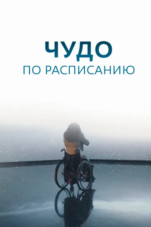 Чудо по расписанию (сериал, 2016)