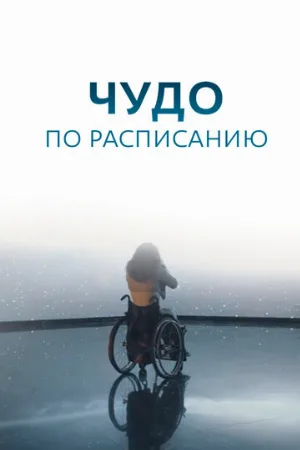 Чудо по расписанию (сериал, 2016)